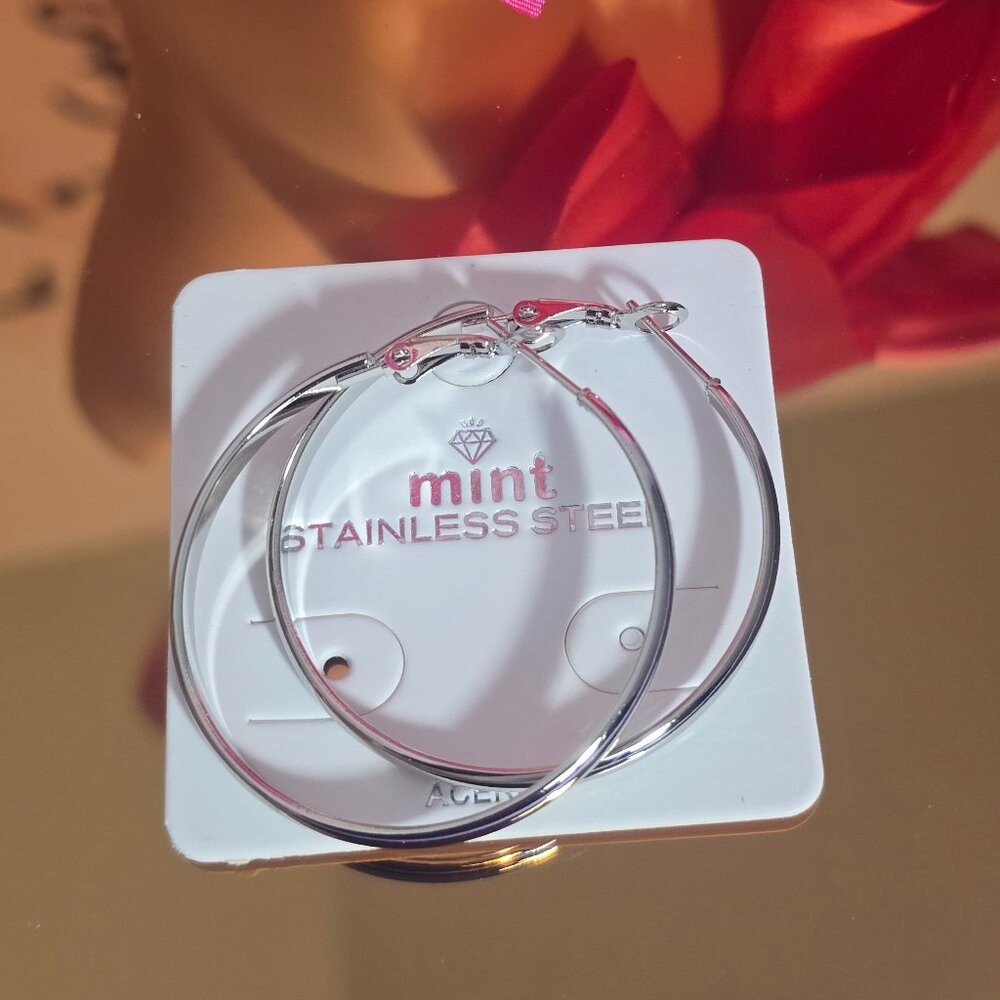 Stainless Steel Silver Hoop Earrings